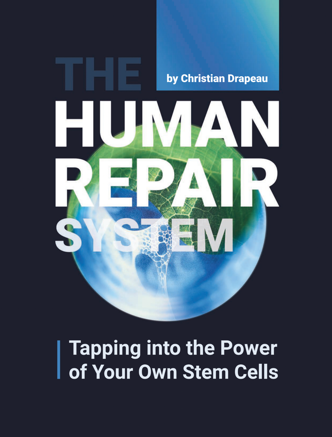 The Human Repair System