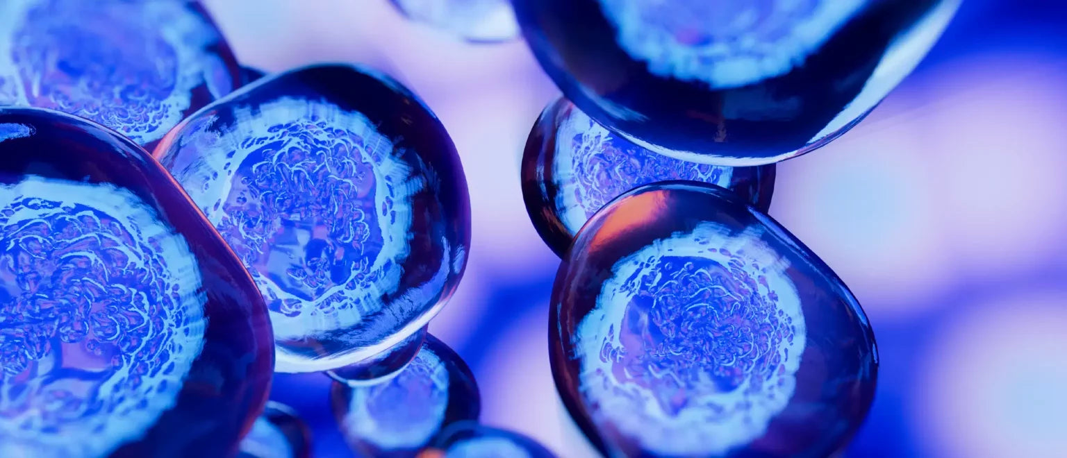 Will Stem Cells Help You Live Longer?